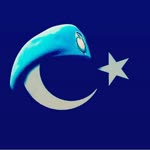 Enes