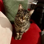 Silas