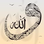 Şehri