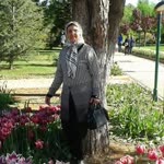 Ayse