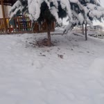 Kumsal