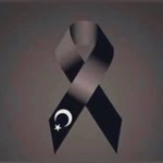 Yesim