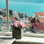 Samet