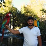 Mahsum