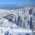 Fikret
