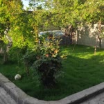İsa