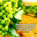Said