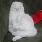 Ömer