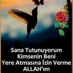 Emel