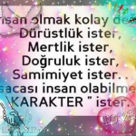 Halis