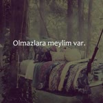 Ayşegül