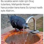 Sıddık