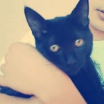 Semih