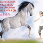 Ramazan