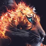 Furkan
