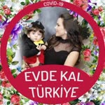 Seda