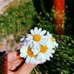 Müslüme