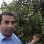 Halil