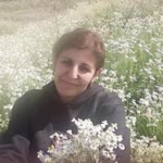 Arzu