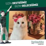 Arzu