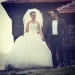 Gül