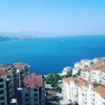 Erdem