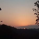 Vildan