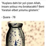 Seher