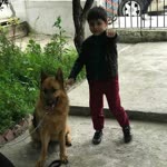 Onur