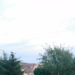 Umut