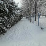 Erhan
