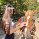 Elif