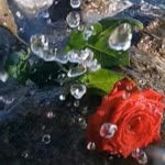 Hatice