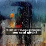 Alpay
