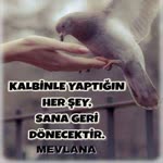 Muammer