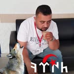 Hikmet