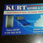 Yunus