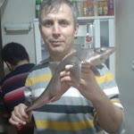 Mustafa