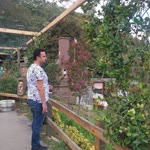 Murat