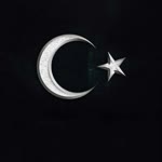 Halim
