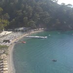 Umut