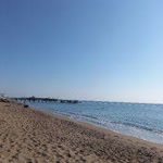 Mavi