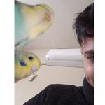 Eyyüp