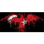 Oğuzhan