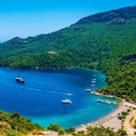 Ss Türkiye