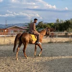 Ali