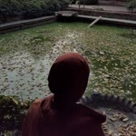 Bahar
