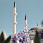 Büşra