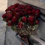 Ayse