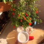 Tuğba